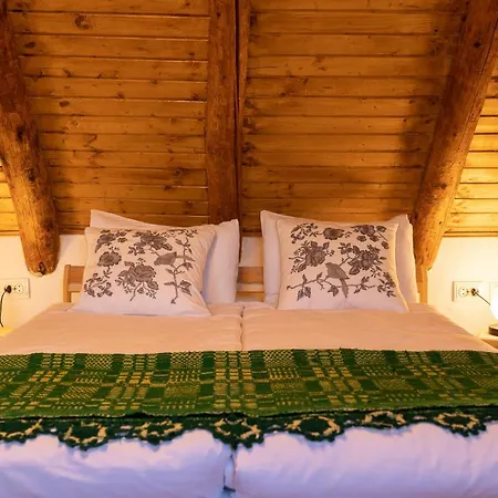 Guest house Pensiunea Sasaus 24