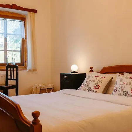 Pensiunea Sasaus 24 Guest house *