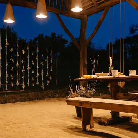 Pensiunea Sasaus 24 Guest house