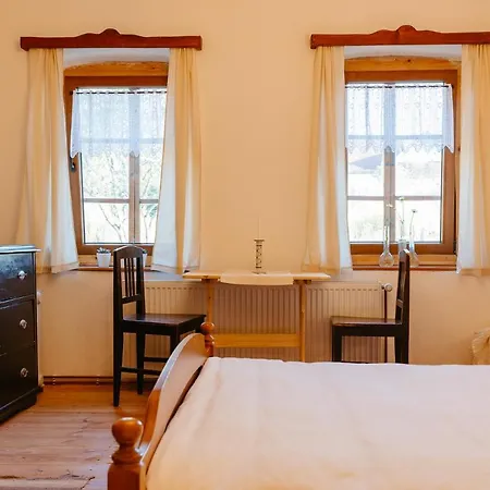 Guest house Pensiunea Sasaus 24 *