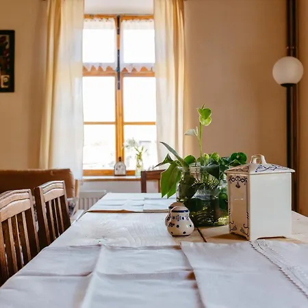 Pensiunea Sasaus 24 Guest house *